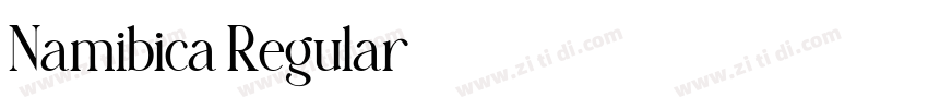 Namibica Regular字体转换 Namibica Regular字体转换